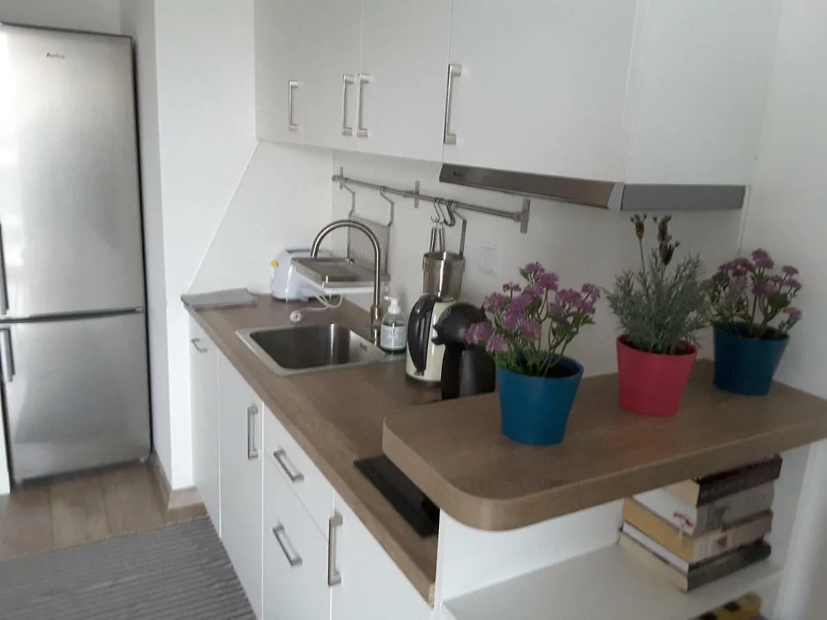 White Swan Apartment كراكوفيا